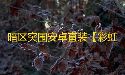 暗区突围安卓直装【彩虹】辅助