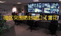 暗区突围防封端口【雪花端囗】辅助